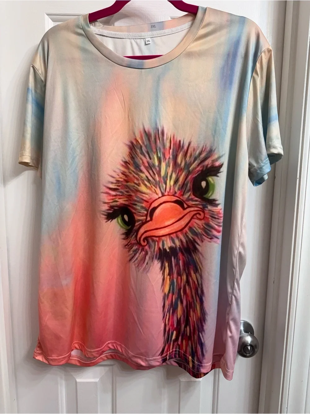 DIVAS LiMiTED
Pastel Ombre Ostrich Graphic Tee - Picture 3 of 8